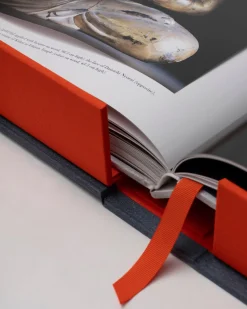 ASSOULINE Art|Koyasan: Senju's Works of Art 1,200 Years After Kūkai