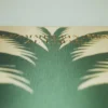ASSOULINE Food & Drink|Saudi Dates: A Portrait of the Sacred Fruit