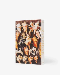 ASSOULINE Travel|Zanzibar